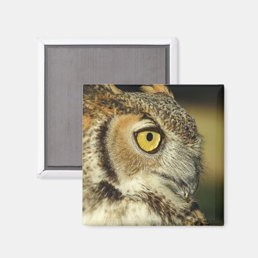 Great Horned Owl Magnet (Voorkant / Achterkant)