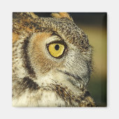 Great Horned Owl Magnet (Voorkant)