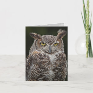 Great Horned Owl-notaris Kaart