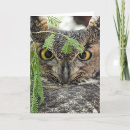 Great Horned Owl Notecard Kaart