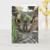 Great Horned Owl Notecard Kaart (Gele Bloem)
