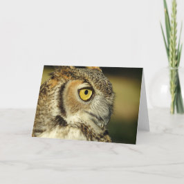 Great Horned Owl Notecard Kaart