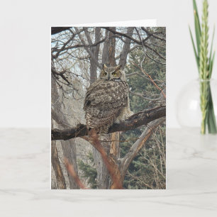 Great Horned Owl - nummer 1 Kaart