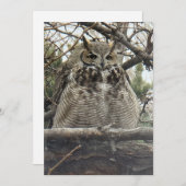 Great Horned Owl - Nummer 4 Big Floof Feestdagenkaart (Voorkant / Achterkant)