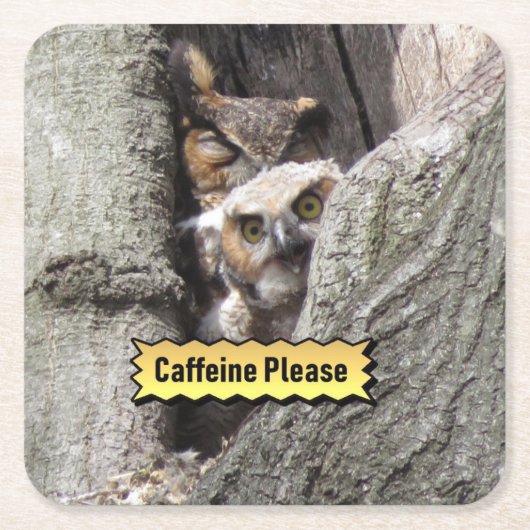 Great Horned Owl Onderzetter Set (Voorkant)