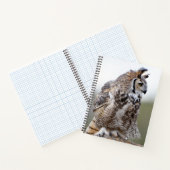 Great Horned Owl Photo 8x11 Notitieboek (Binnen)