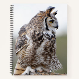Great Horned Owl Photo 8x11 Notitieboek