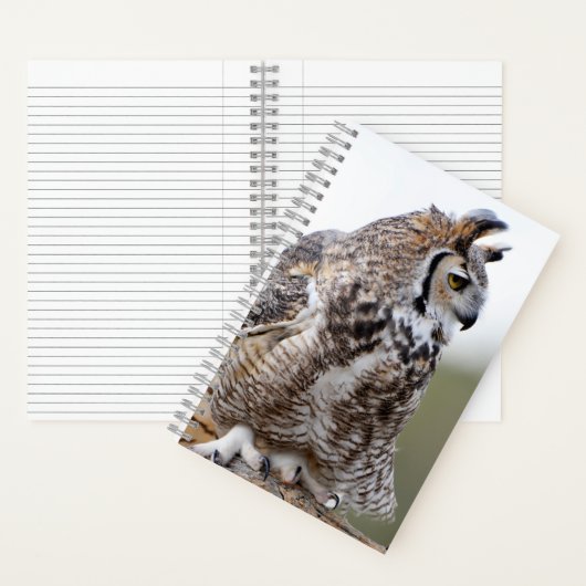 Great Horned Owl Photo 8x5 Notitieboek (Binnen)