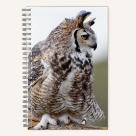 Great Horned Owl Photo 8x5 Notitieboek