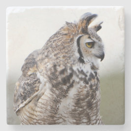 Great Horned Owl Photo Onderzetter