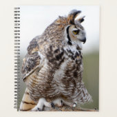 Great Horned Owl Photo Planner (Voorkant)
