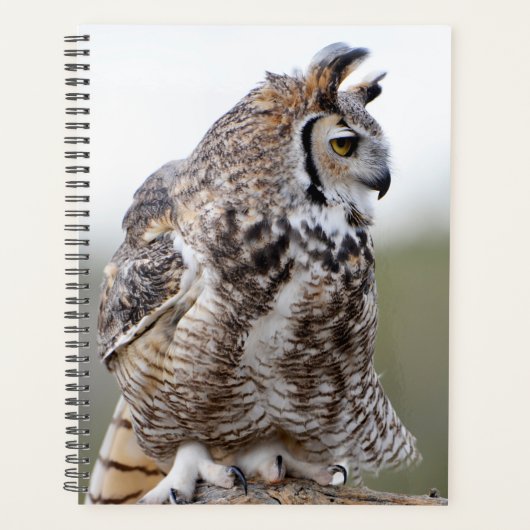 Great Horned Owl Photo Planner (Voorkant)