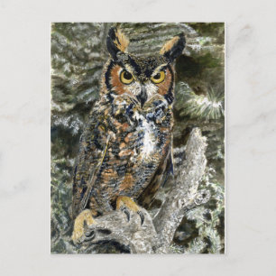 Great Horned Owl Post Card Briefkaart