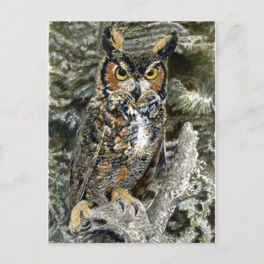 Great Horned Owl Post Card Briefkaart (Voorkant)