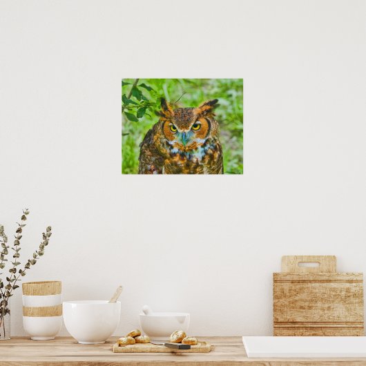 Great Horned Owl Poster (Keuken)