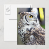 Great Horned Owl Profile Briefkaart (Voorkant / Achterkant)