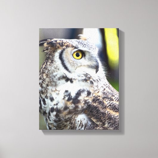 Great Horned Owl Profile Canvas Afdruk (Voorkant)
