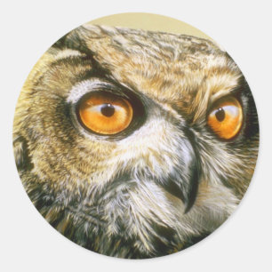 Great Horned-Owl Ronde Sticker