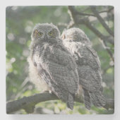 Great Horned Owl Siblings Stone Onderzetter (Voorkant)