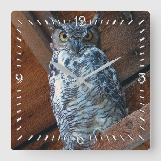 Great Horned Owl Square Clock Vierkante Klok (Voorkant)