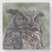 Great Horned Owl Stone Onderzetter (Voorkant)