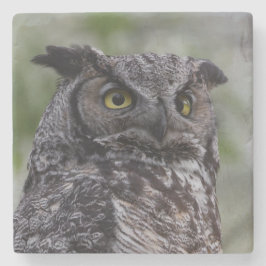 Great Horned Owl Stone Onderzetter