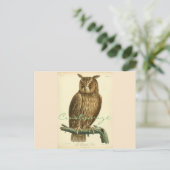Great Horned Owl Thunder_Cove Briefkaart (Staand voorkant)