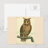 Great Horned Owl Thunder_Cove Briefkaart (Voorkant / Achterkant)