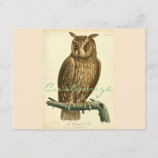 Great Horned Owl Thunder_Cove Briefkaart (Voorkant)