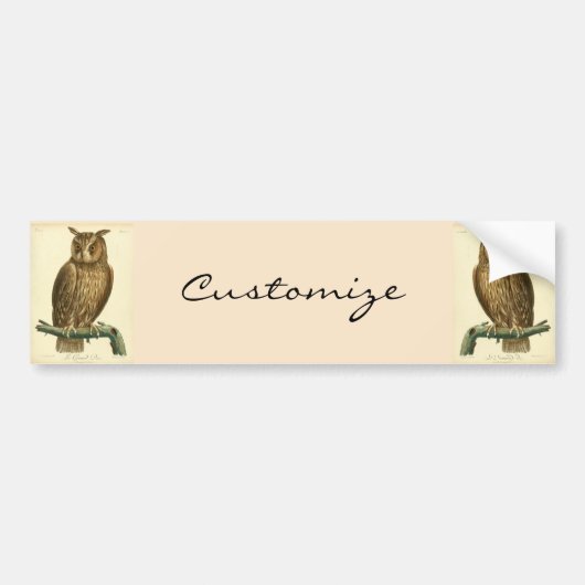 Great Horned Owl Thunder_Cove Bumpersticker (Voorkant)