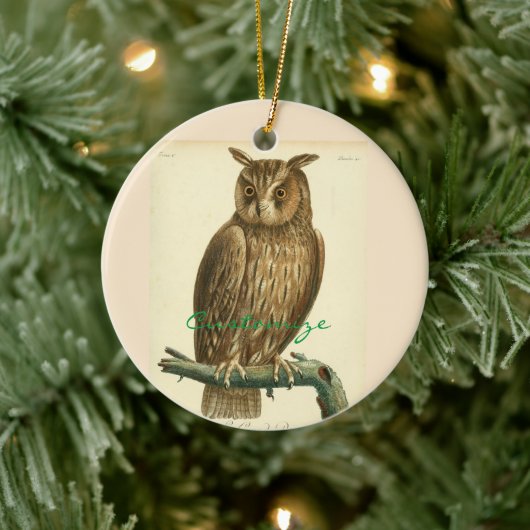 Great Horned Owl Thunder_Cove Keramisch Ornament (Boom)