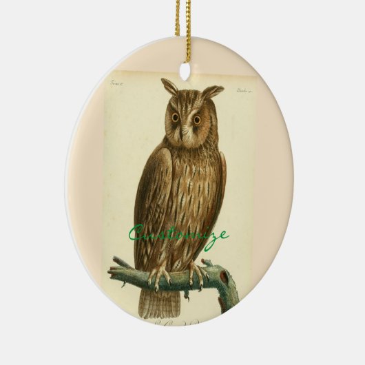 Great Horned Owl Thunder_Cove Keramisch Ornament (Rechts)
