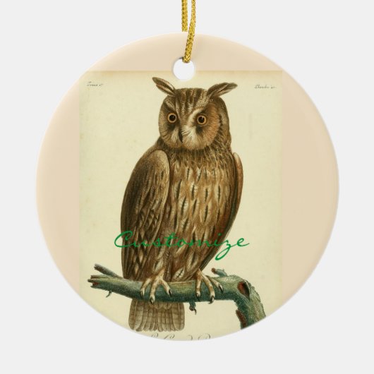Great Horned Owl Thunder_Cove Keramisch Ornament (Voorkant)