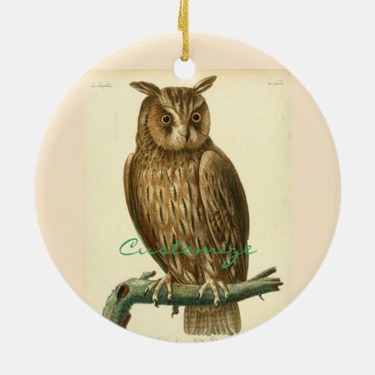 Great Horned Owl Thunder_Cove Keramisch Ornament (Achterkant)