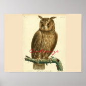 Great Horned Owl Thunder_Cove Poster (Voorkant)