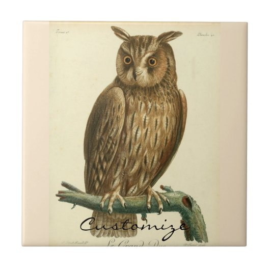 Great Horned Owl Thunder_Cove Tegeltje (Voorkant)