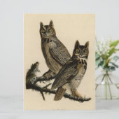 Great Horned Owls (door John James Audubon) Kaart (Staand voorkant)