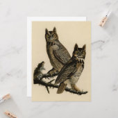 Great Horned Owls (door John James Audubon) Kaart (Voorkant / Achterkant in situ)