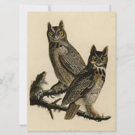 Great Horned Owls (door John James Audubon) Kaart