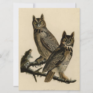 Great Horned Owls (door John James Audubon) Kaart