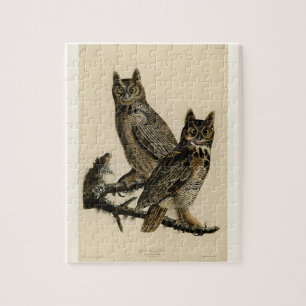Great Horned Owls (door John James Audubon) Legpuzzel