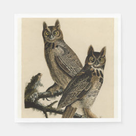 Great Horned Owls (door John James Audubon) Servet