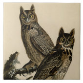 Great Horned Owls (door John James Audubon) Tegeltje (Voorkant)