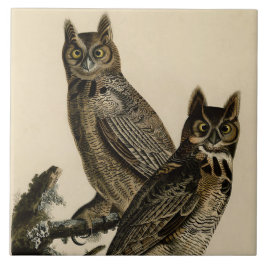 Great Horned Owls (door John James Audubon) Tegeltje
