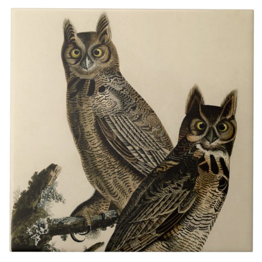 Great Horned Owls (door John James Audubon) Tegeltje (Voorkant)