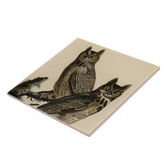 Great Horned Owls (door John James Audubon) Tegeltje (Zijkant)