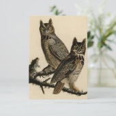 Great Horned Owls (J.J. Audubon) Kaart (Staand voorkant)
