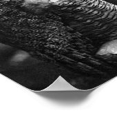 Great Horned Own Poster (Hoek)