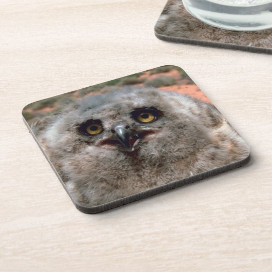 Great Horst Owlet Drankjes Onderzetter (Linkerzijde)