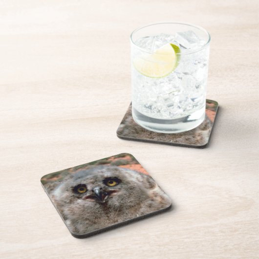 Great Horst Owlet Drankjes Onderzetter (Rechterzijde)